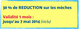 
30 % de REDUCTION sur les mèches

Validité 1 mois :  jusqu’au 7 mai 2014 (inclu)